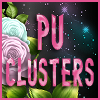 *KSK - PU Clusters