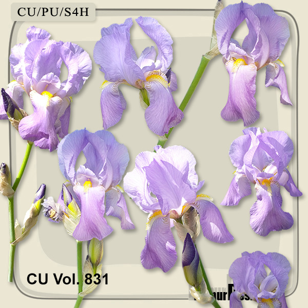 CU Vol. 831 Flowers - Click Image to Close